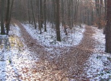Career Change Advice Crossroads